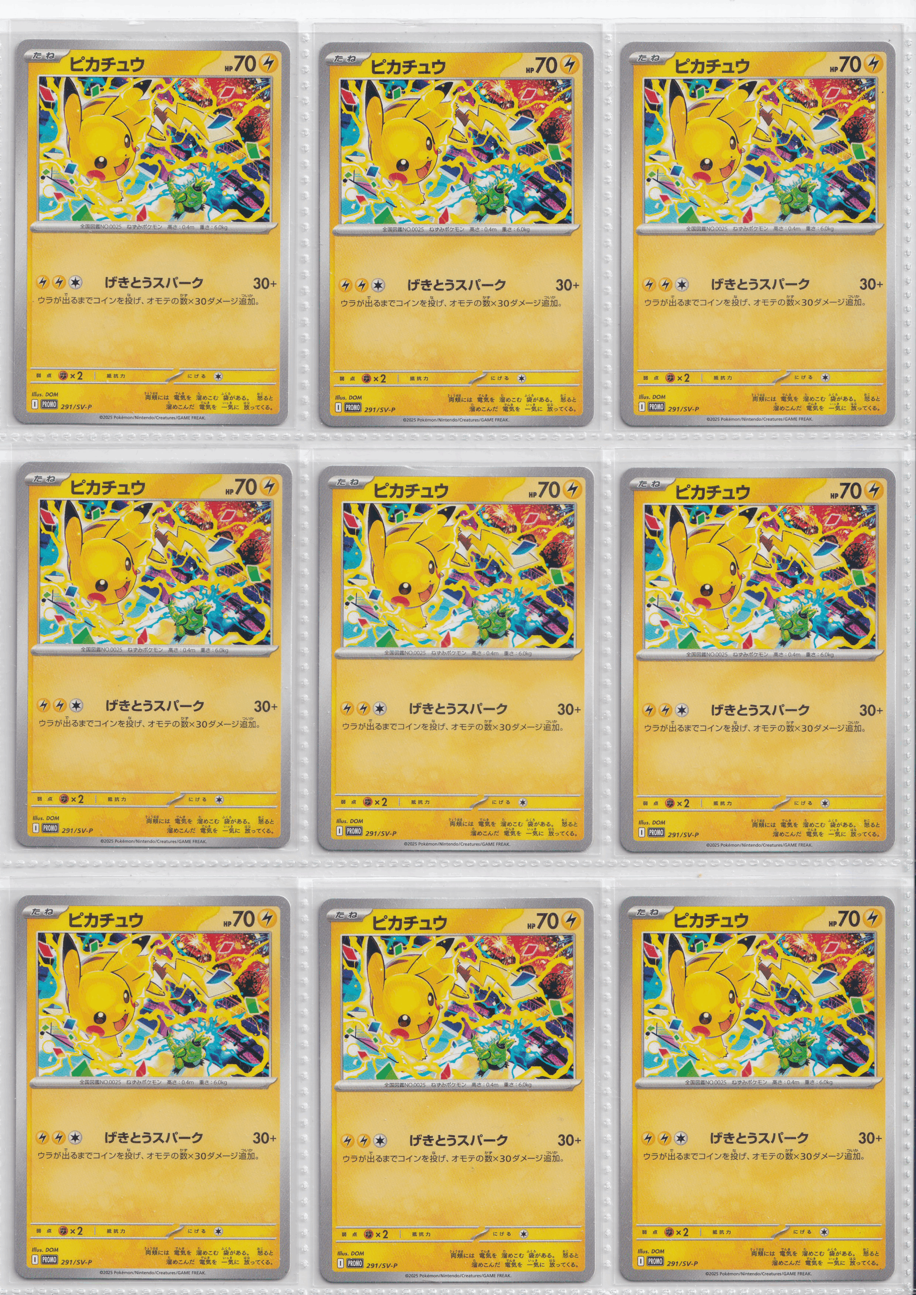 300_Gym_Campaign_2025 Promo Pikachu_FRN_1