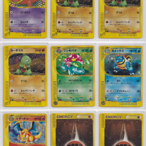 244_(NM-LP)+11_(MP)_Pokemon card Japanese_e-series_ VS_Web_Holo_bulk set_FRN_5